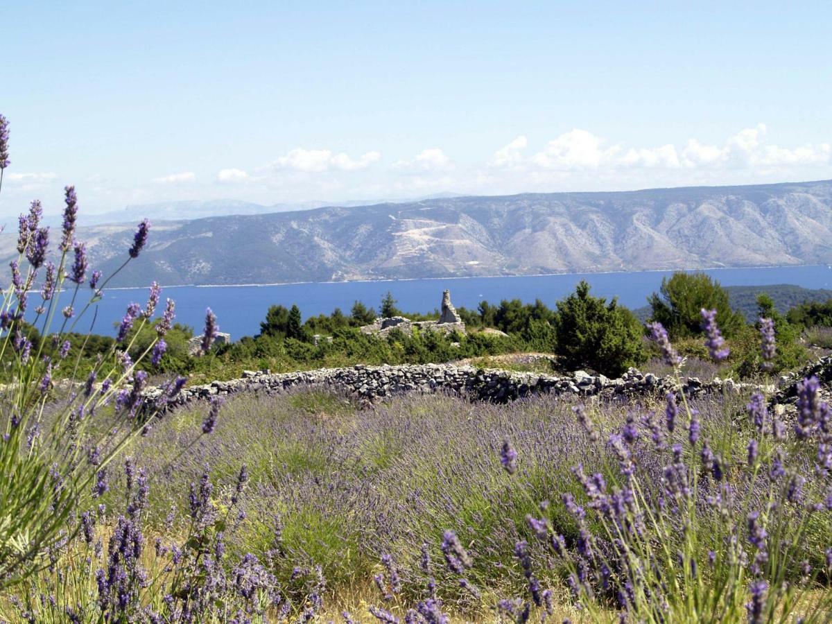 Room Rade Stari Grad  Exterior foto